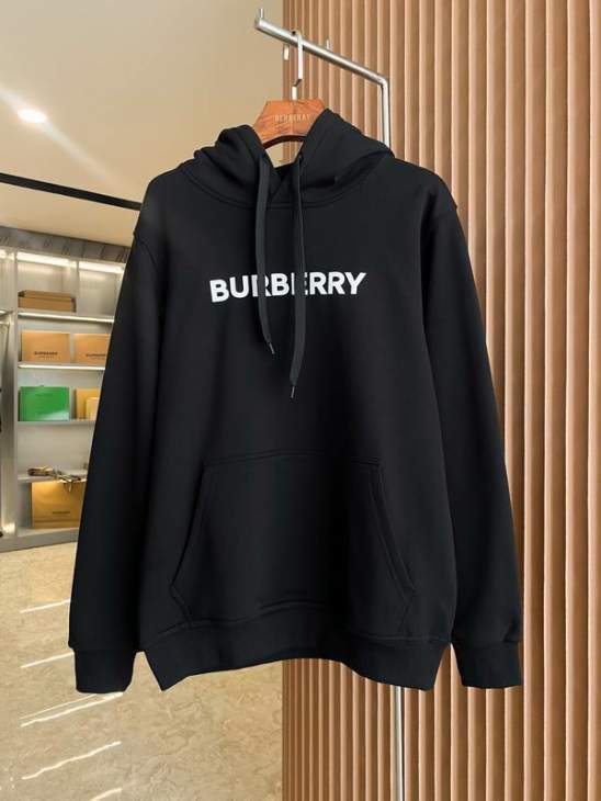 Picture of Burberry Hoodies _SKUBurberryS-2XLaztx85851823